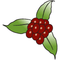 Cluster of red berries illustration